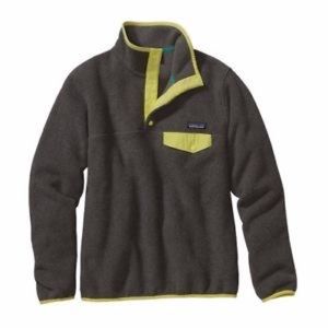 Patagonia Lightweight Synchilla Snap-T Pullover